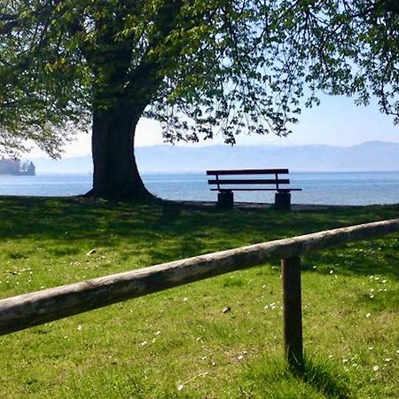 Ferienwohnung Strandgut Langenargen Εξωτερικό φωτογραφία